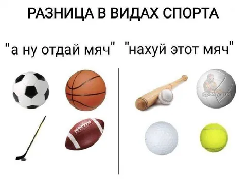 Разница в видах спорта