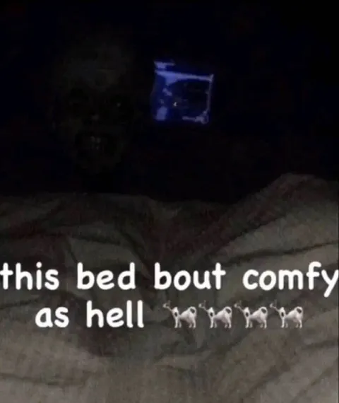 This Bed Bout Comfy as Hell