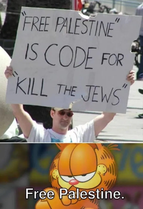Free Palestine Code Meme