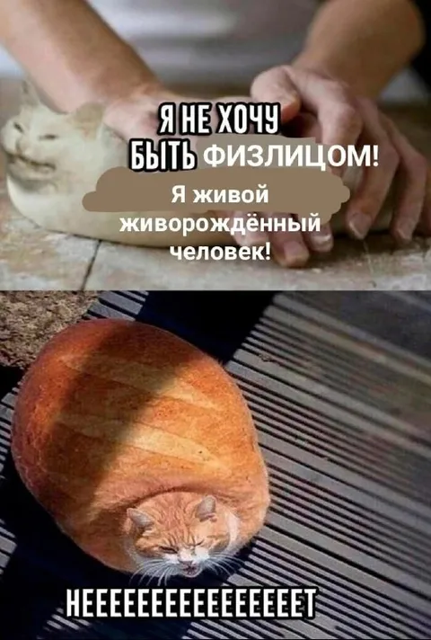 Не хочу быть физлицом