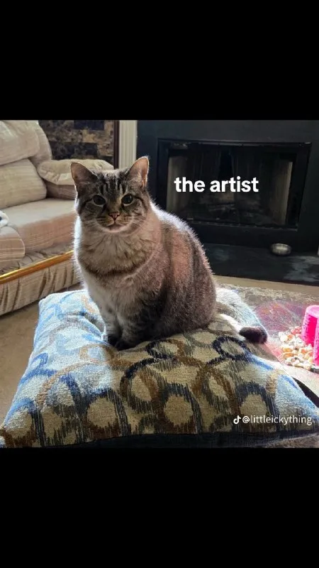 The Artist Cat