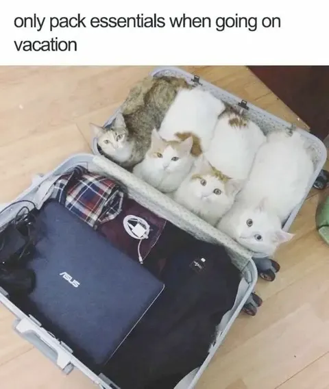 Only Pack Essentials for Vacation