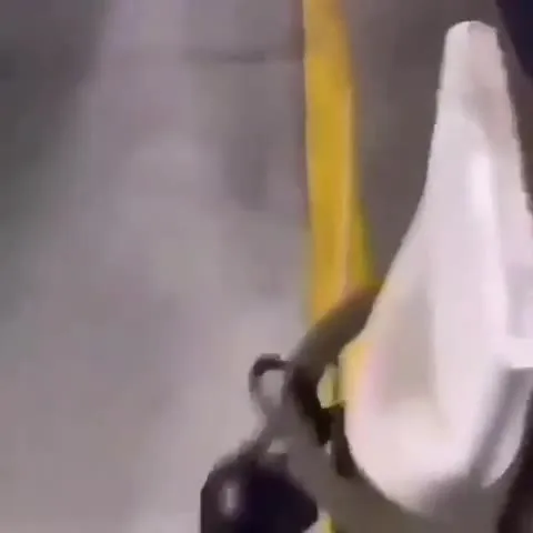 Неожиданная собака на поводке