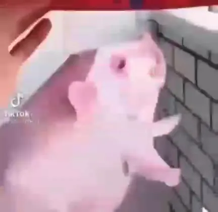 Розовый самолётик сбили