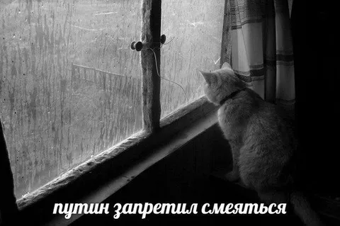 Путин запретил смеяться