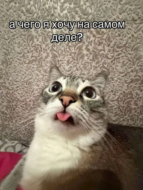 А чего я хочу на самом деле