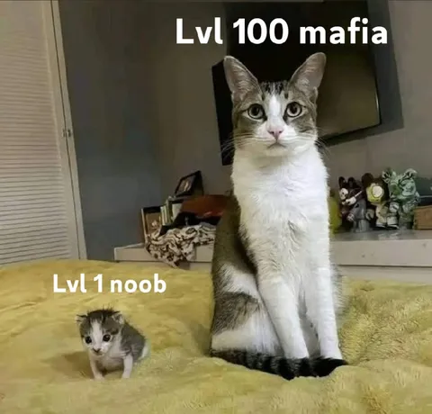 Level 100 Mafia Cat
