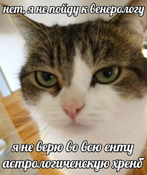Кот не верит астрологии