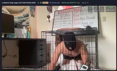 Locked in Dog Cage Milestones