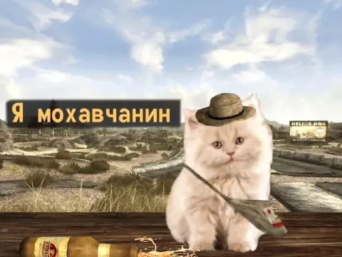 Кот мохавчанин в пустоши
