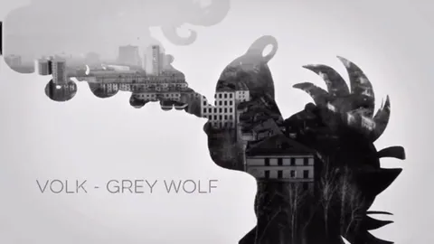 Grey Wolf and Russian Rabbit