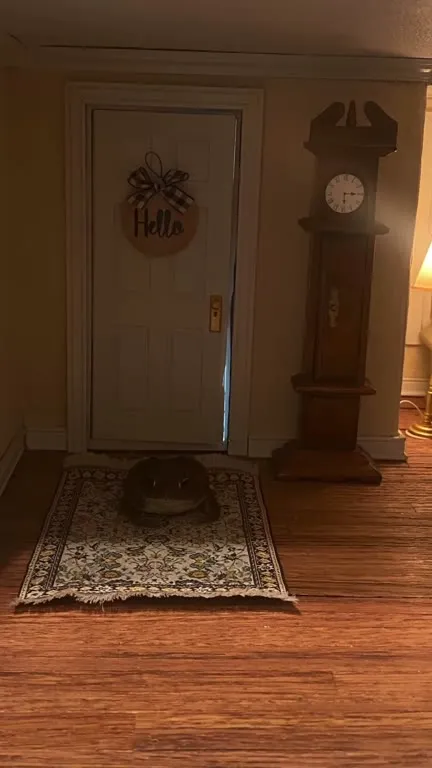 Frog Joins the Family Dinner