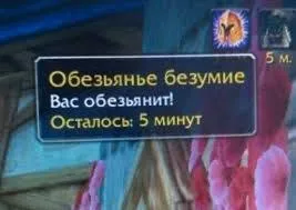 Обезьянье безумие на пять минут