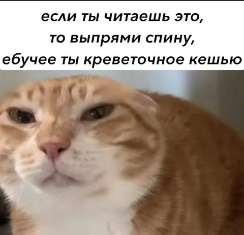 Креветочное кешью выпрямляет спину