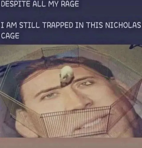 Nicholas Cage Hamster Prison