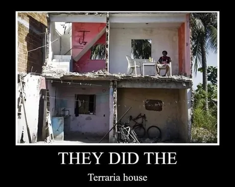 They Did the Terraria House