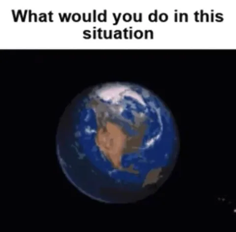 What Would You Do in This Situation