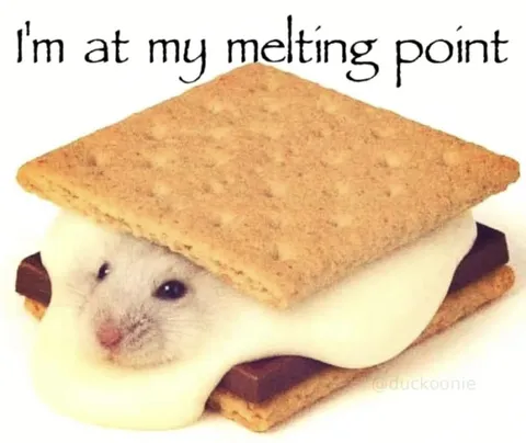 Hamster at the Melting Point