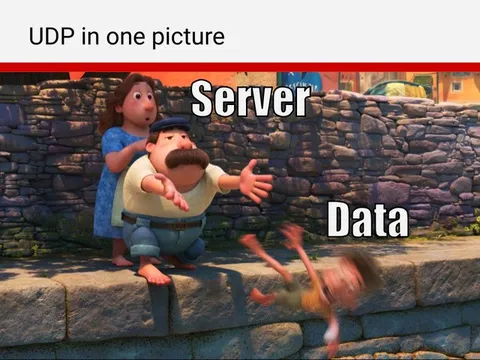 UDP in One Picture