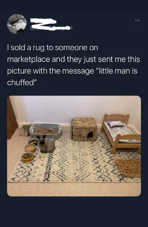 Little Man Is Chuffed