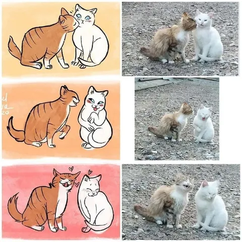 Кошки становятся ближе