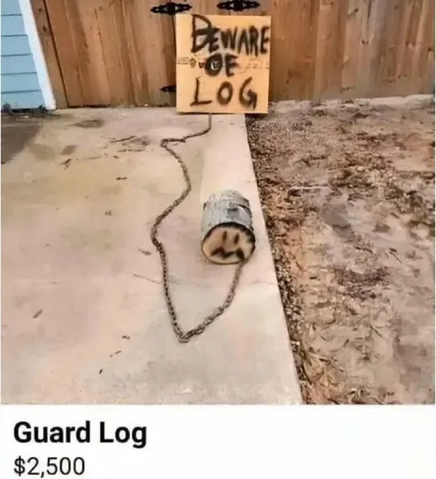 Guard Log Costs $2,500