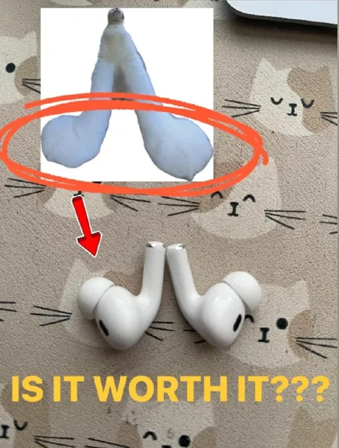 Is It Worth It Earbuds