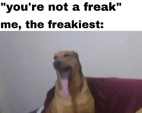 You’re Not a Freak Dog