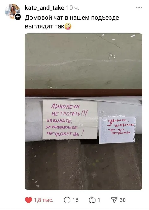 Домовой чат про линолеум
