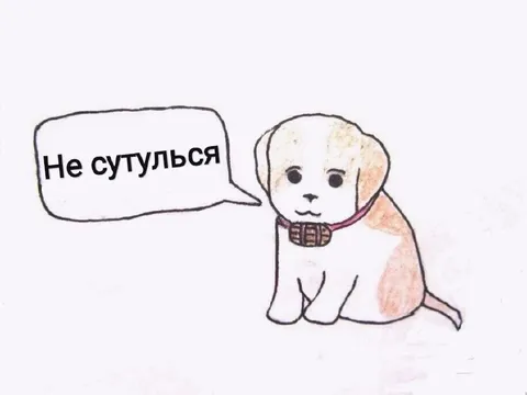 Не сутулься, щенок