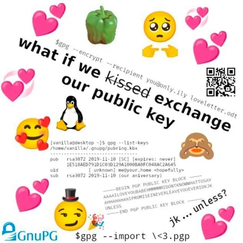 What If We Exchanged Public Keys