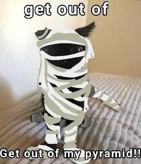 Get Out of My Pyramid Cat