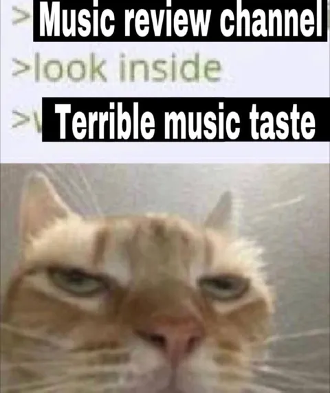 Terrible Music Taste Cat
