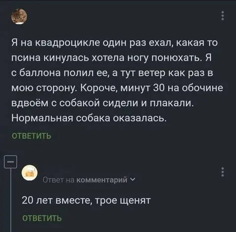 Собака и слезоточивый баллончик