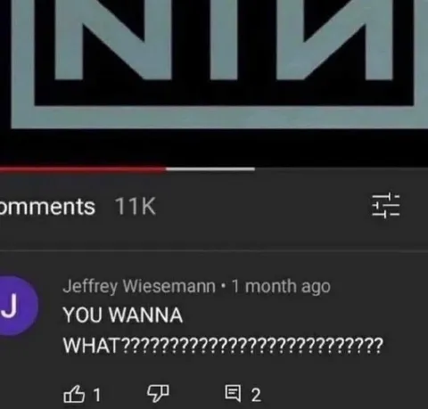 You Wanna What
