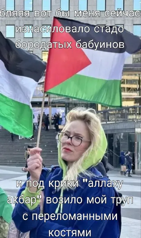 Стадо бородатых бабуинов
