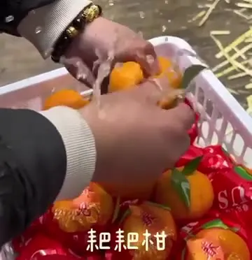 疯狂喷水的橘子