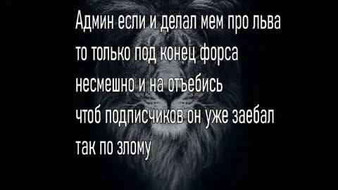 Админ и мем про льва