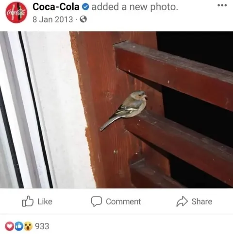 Птица на перилах