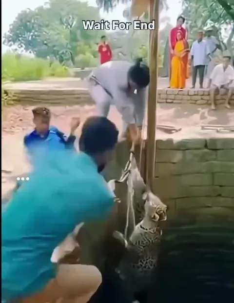 Wait For End Well Rescue