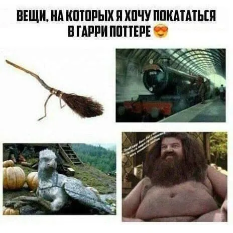 На чём покататься в Гарри Поттере