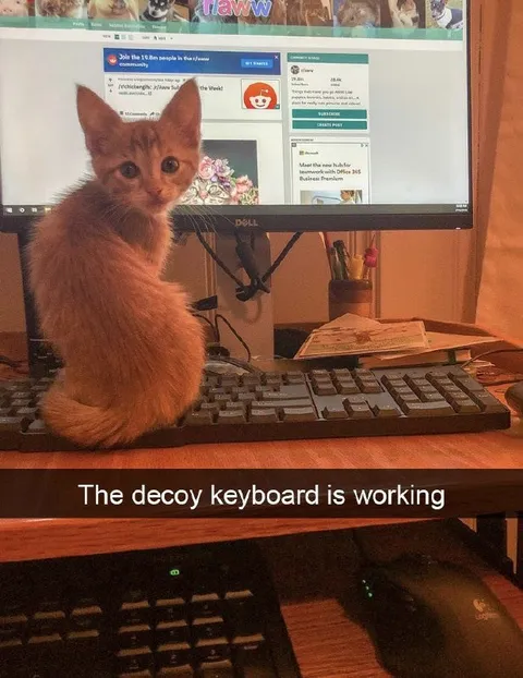 The Decoy Keyboard Works