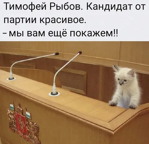 Кот-кандидат на трибуне