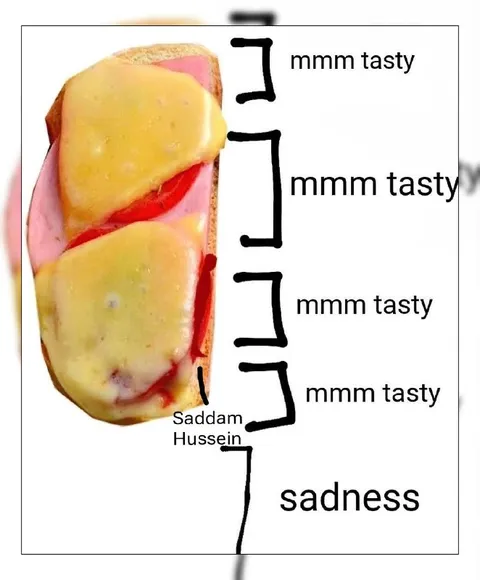 Saddam Hussein Sandwich Sadness