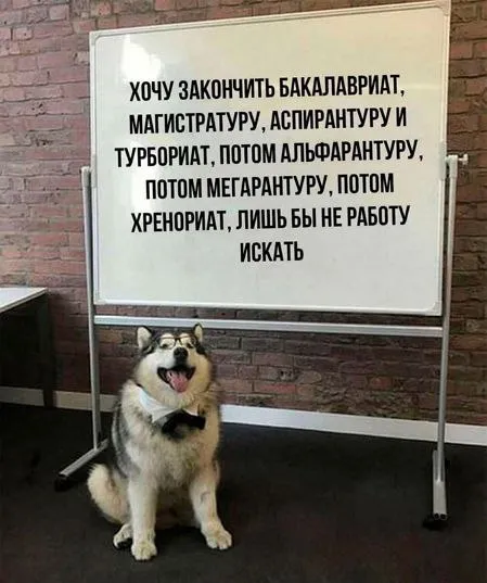 Лишь бы не искать работу