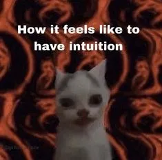 How Intuition Feels