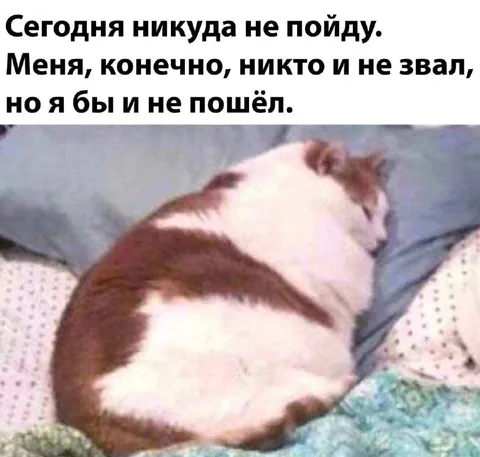Никуда не пойду