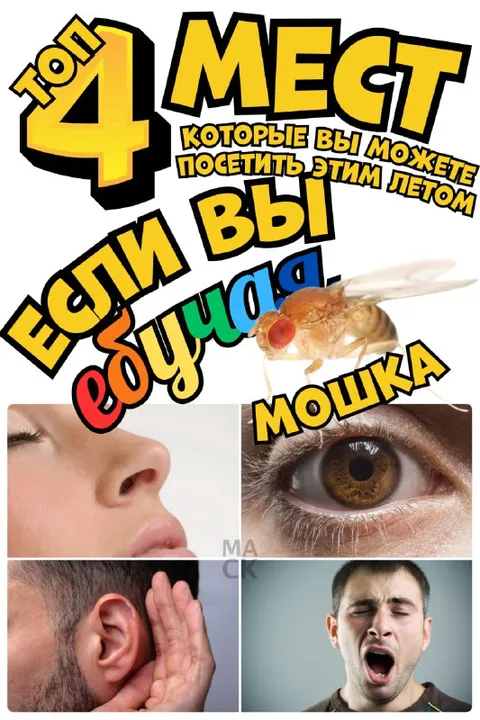 Топ мест для посещения летом