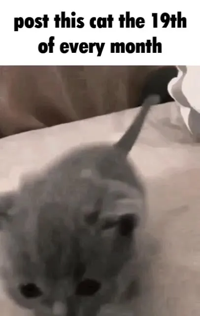 Post This Cat Every Month