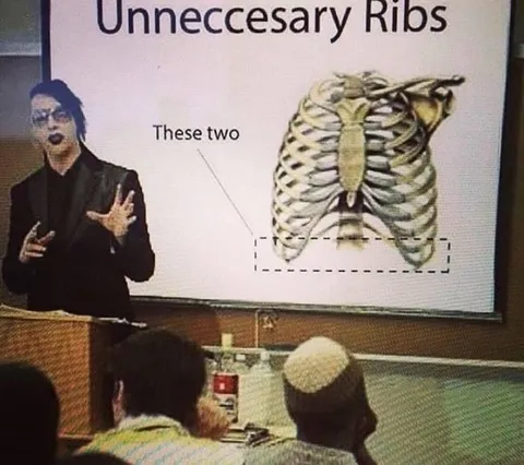 Unnecessary Ribs Presentation